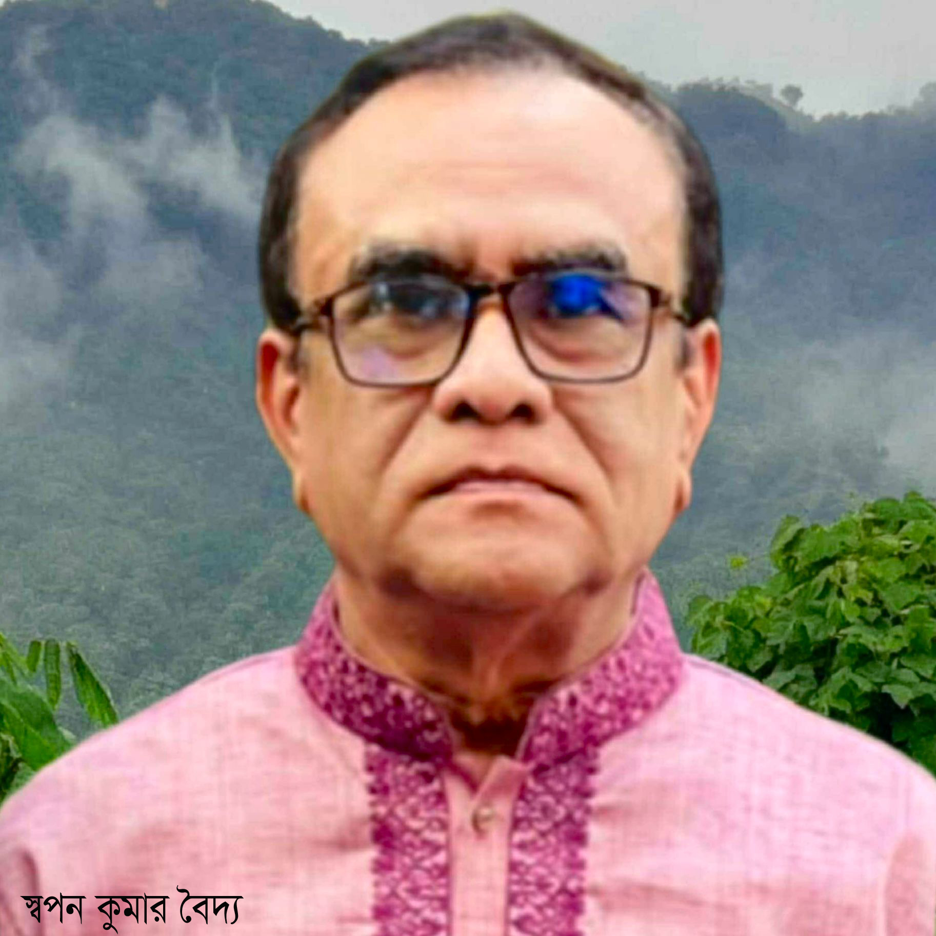 কবিতা: তুমি চেয়েছিলে—স্বপন কুমার বৈদ্য