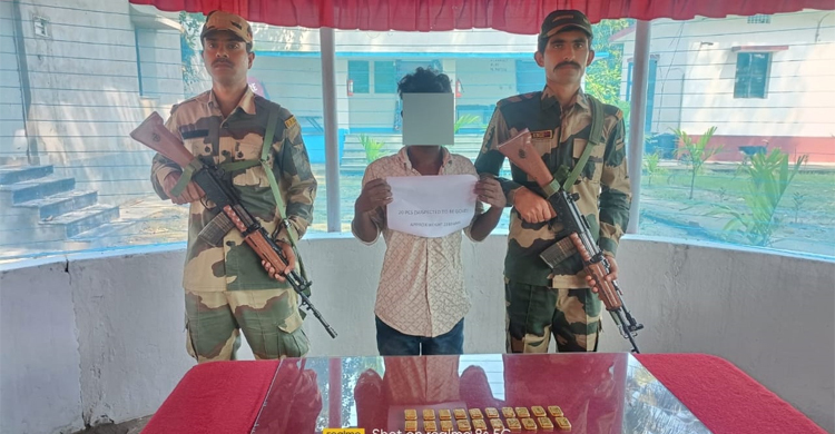 ভারত-বাংলাদেশ সীমান্তে প্রায় ৩ কোটি রুপির সোনা উদ্ধার করেছে বিএসএফ